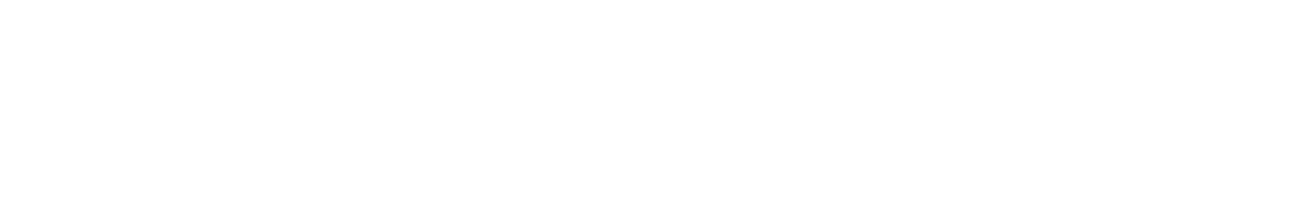 SPACEVLEO
